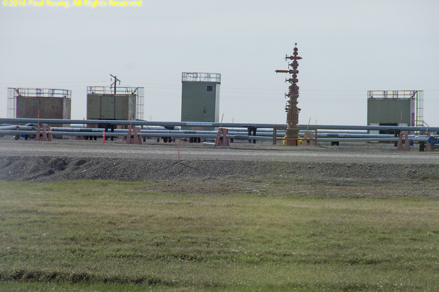 Trans-Alaska Pipeline
